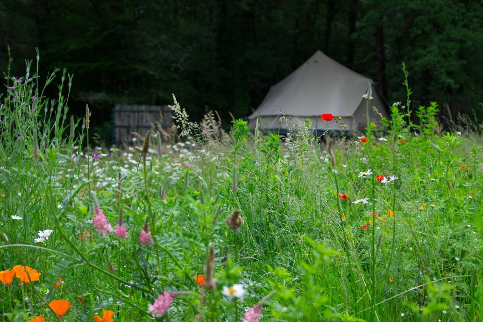 Belair Le Camping Champagnac-de-Bélair Eksteriør bilde